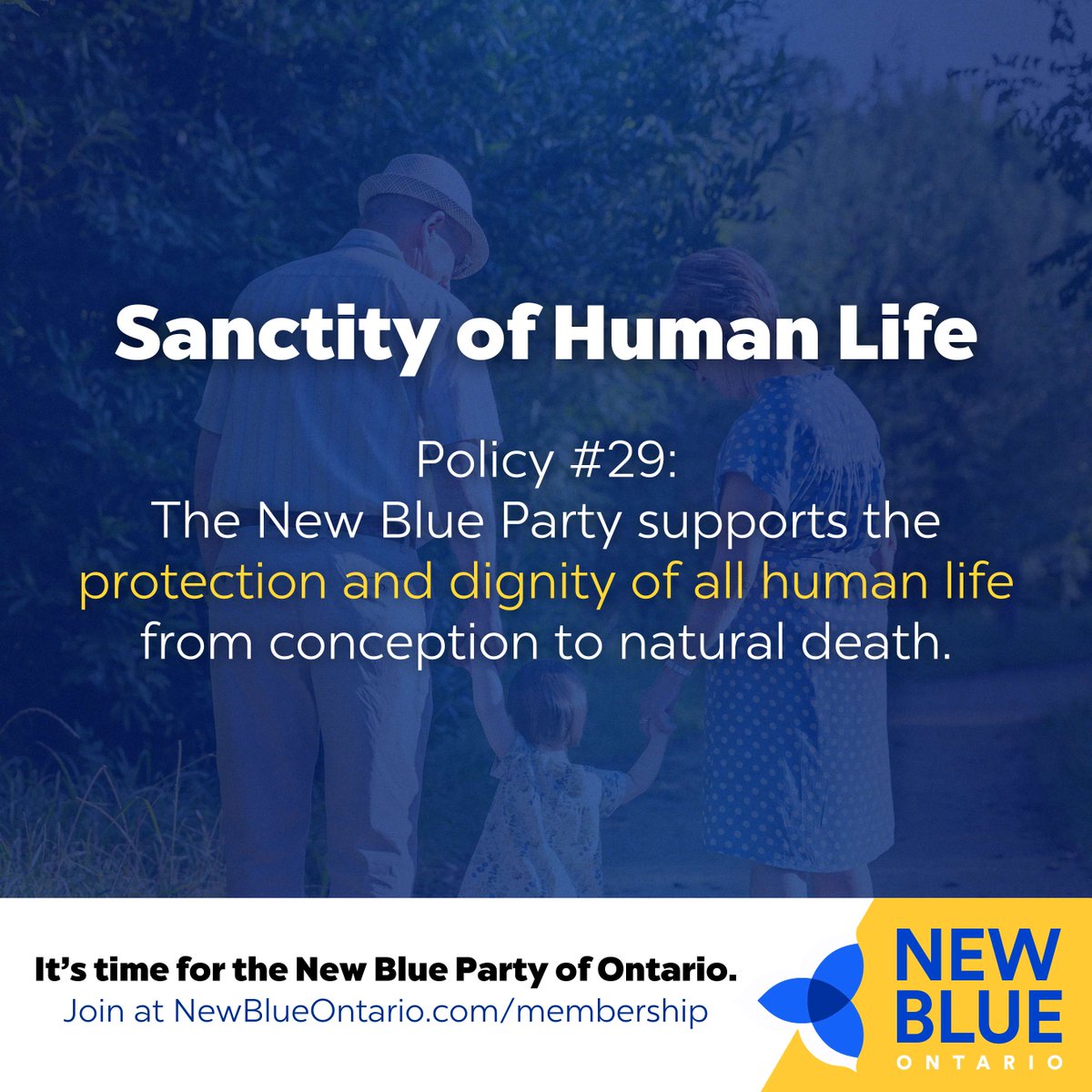 New Blue Party of Ontario tweet media