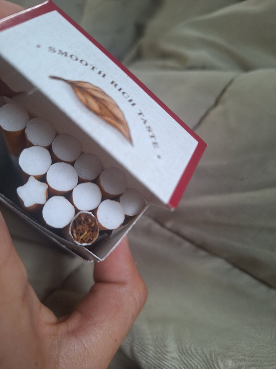 ⭑trans divinity tweet media