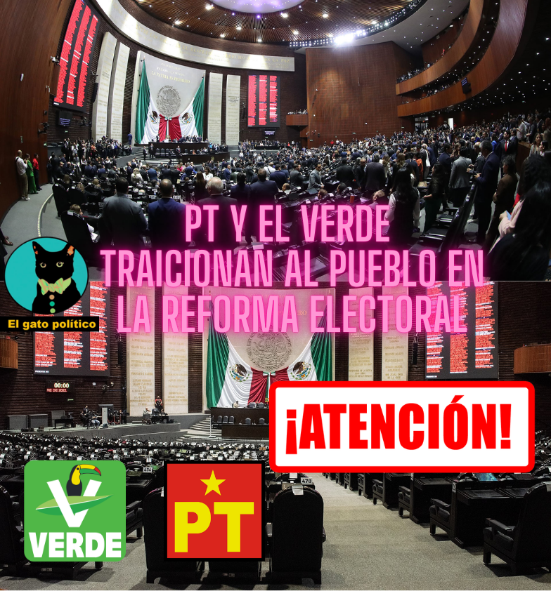 El gato político tweet media