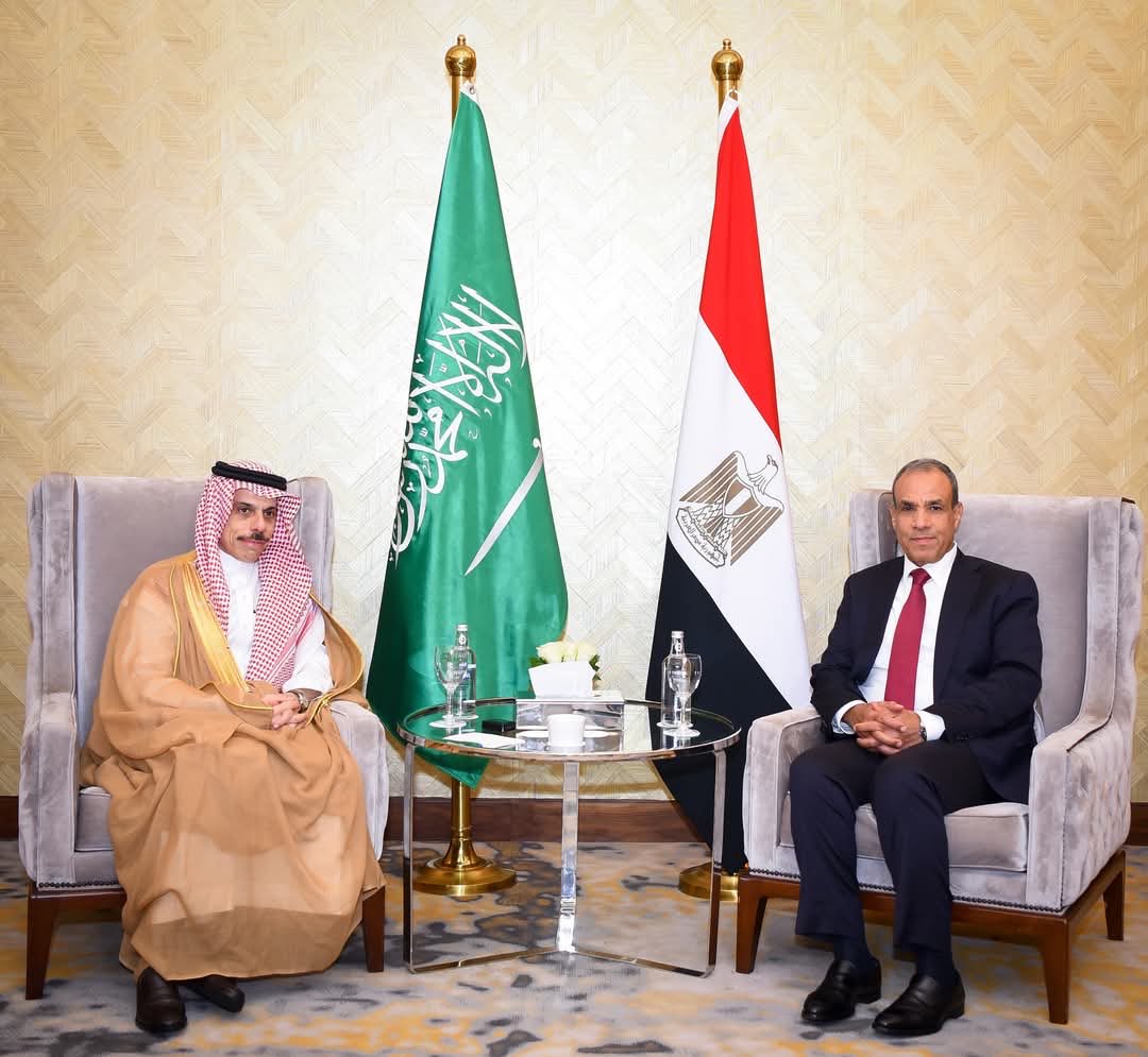 وزير الخارجية يناقش مع نظيره المصري جهود الأمن والاستقرار الإقليمي