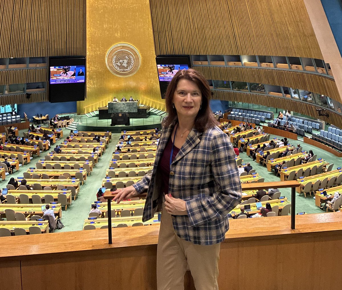 AnnLinde's tweet photo. Listening to ministers speak about the situation of women - and it’s clear Feminist Foreign Policy are needed more than ever #FFPPVC @FEPS_Europe @PA_Solidarity https://t.co/hrzDXengFy