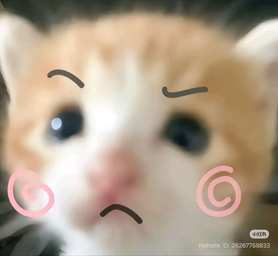 No Context Cats tweet media