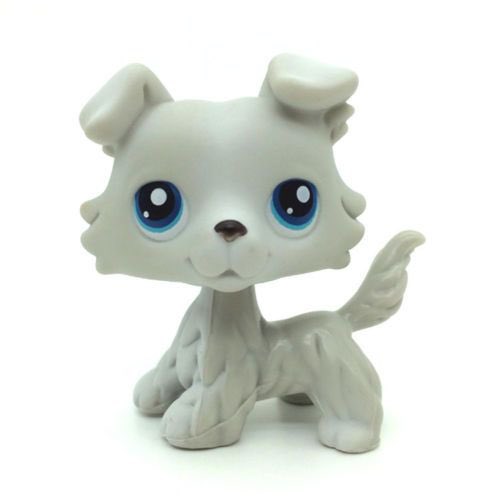 catbrini's tweet image. william eklund