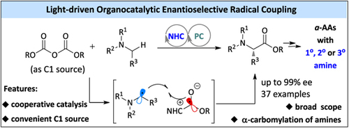 CCS Chemistry tweet media
