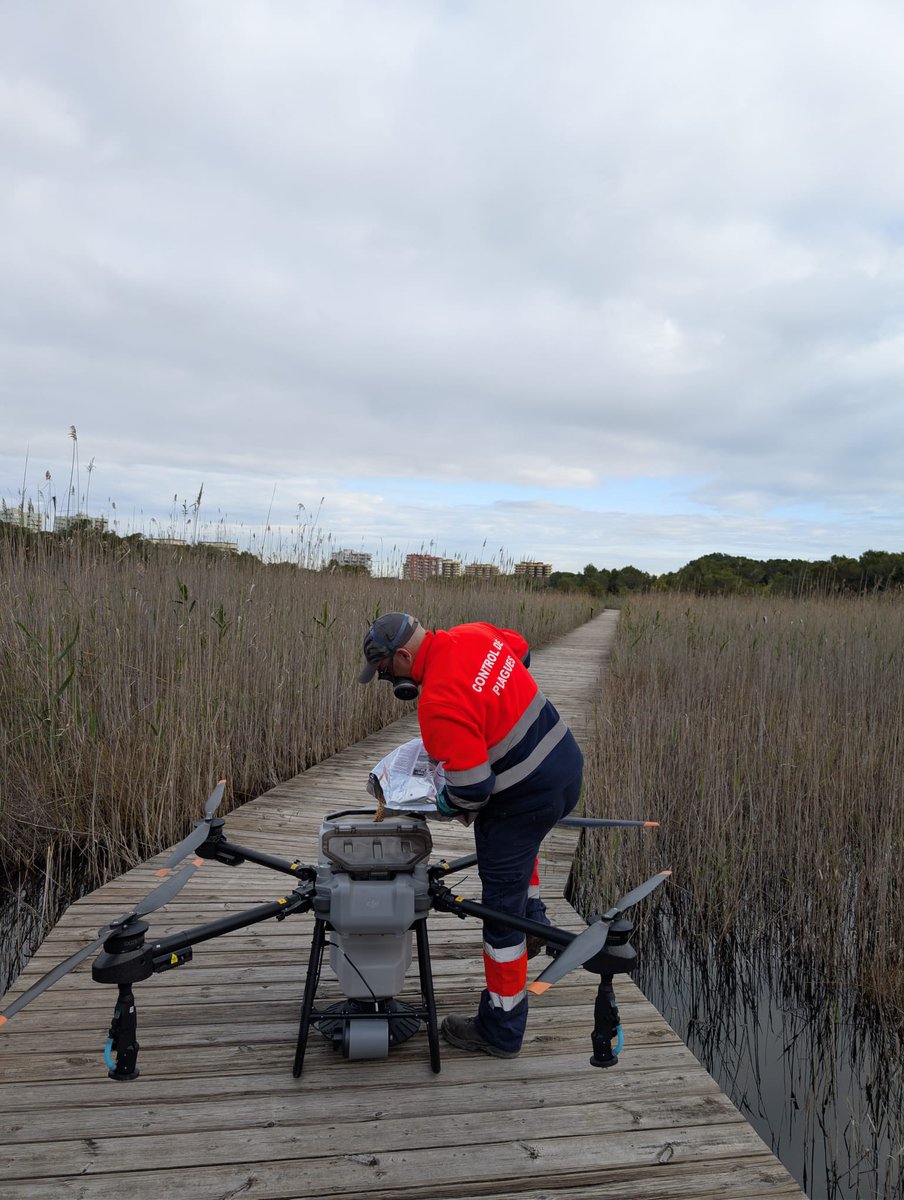 Rubén Bueno tweet media