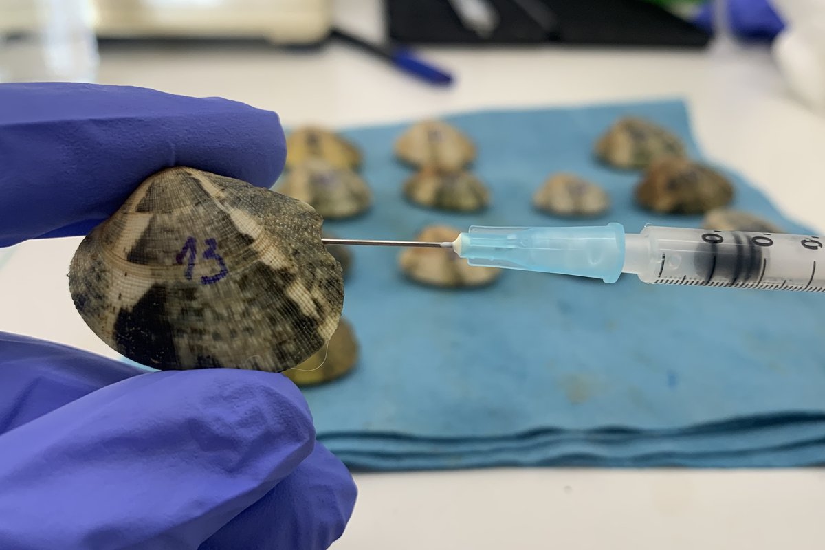 Bigelow Laboratory tweet media