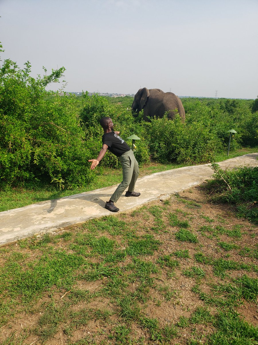 JfredTourist's tweet photo. Before all of you go to bed, the fast safari guide who has challenged on this app for wild photo poses 😄 @JfredTourist .
Tag yourself in just a photo to challenge me back 😄 🤣 😂 @RoseBasemera1 @Explore_Ug @KaijaEnoch68276 @Kainembabazi22 @Uganda_Expozed @travelwith_mack https://t.co/xseIUhfbWq