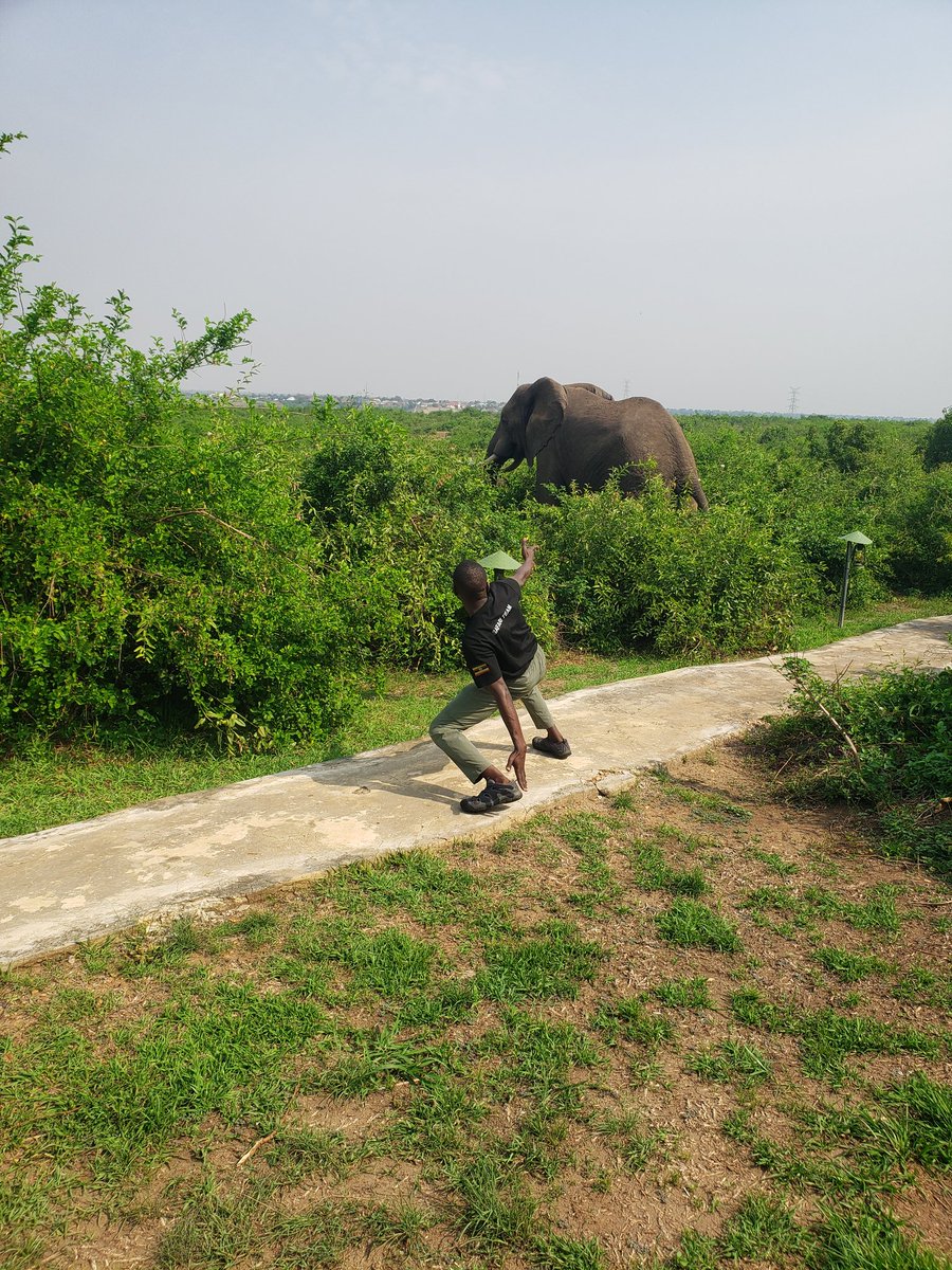 JfredTourist's tweet photo. Before all of you go to bed, the fast safari guide who has challenged on this app for wild photo poses 😄 @JfredTourist .
Tag yourself in just a photo to challenge me back 😄 🤣 😂 @RoseBasemera1 @Explore_Ug @KaijaEnoch68276 @Kainembabazi22 @Uganda_Expozed @travelwith_mack https://t.co/xseIUhfbWq