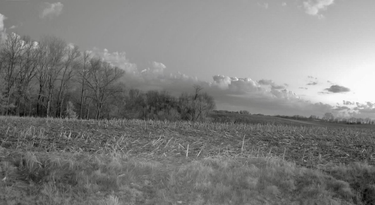 Angela Suttner - Warrior Against Bullying! tweet media