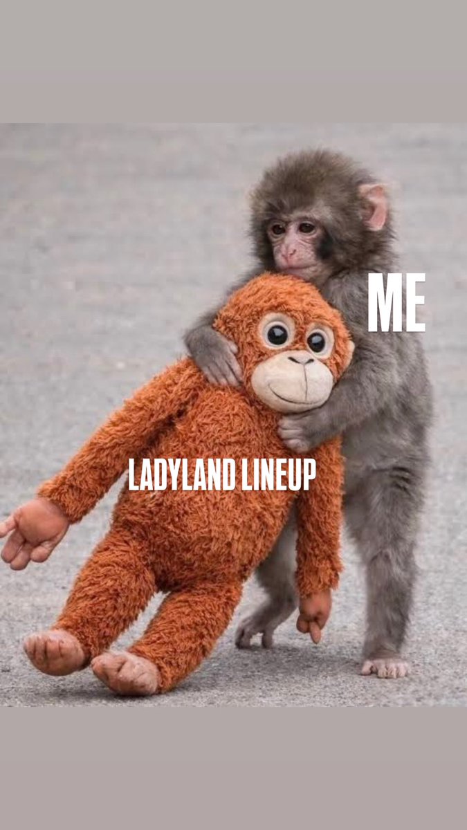 LadyLand tweet media