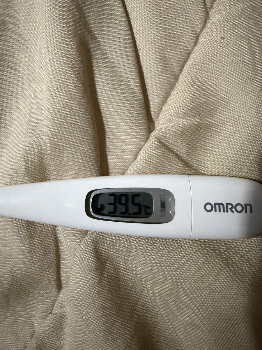 熱測ると39.5℃
でも食欲がある
だから俺は痩せられないのか
私のデブの才能が羨ましいか
飯食って元気出たら病院いくわよ