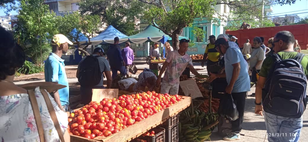NioveRo2's tweet photo. #EnPlazaHoy 2da jornada d activ previas a la Semana de la Cultura, en el Parque d H y 21, c realizan activ culturales, deportivas y #Feria d nuestros actores económicos. 
#PlazaDistritoCultural https://t.co/CfgivcAiPP