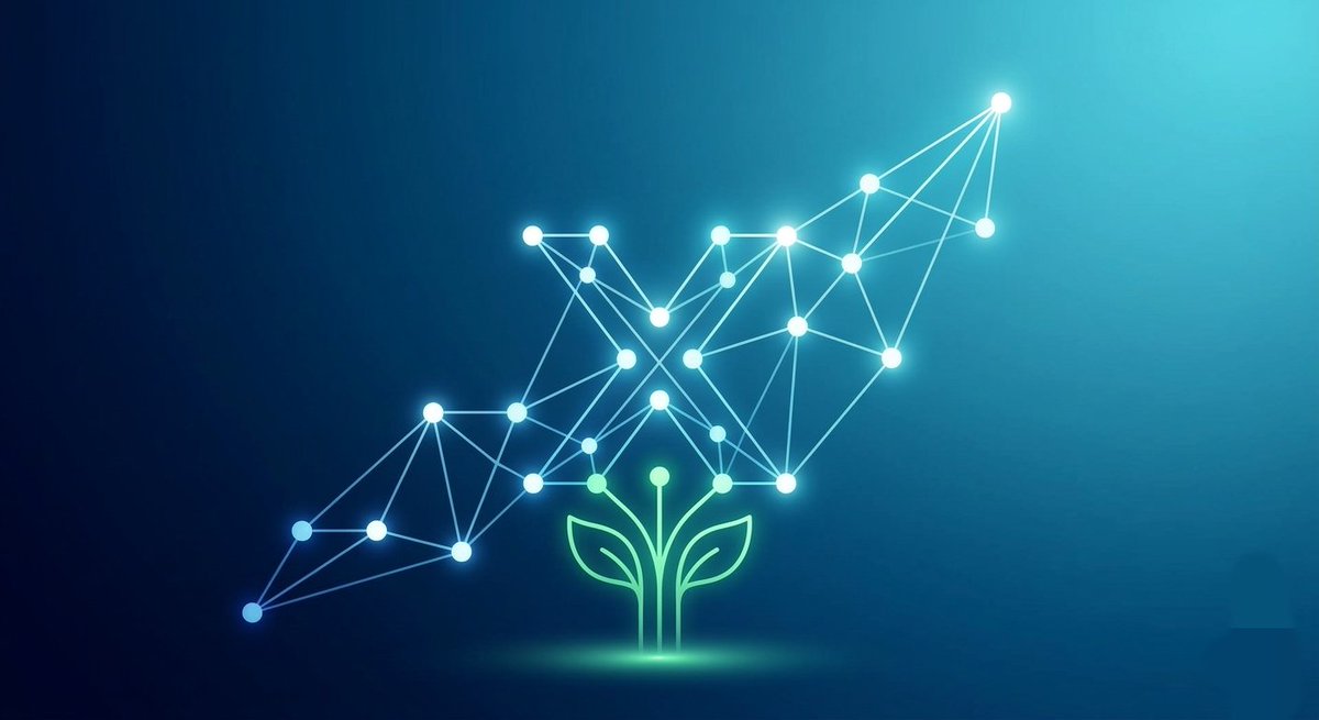 Sana'ania tweet media