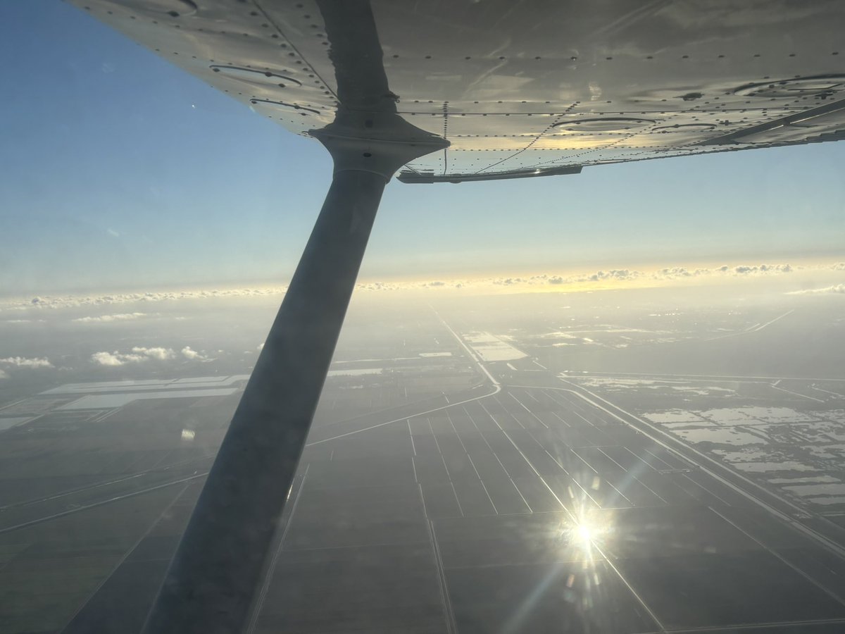 Vik 🔜 MP, MFF tweet media