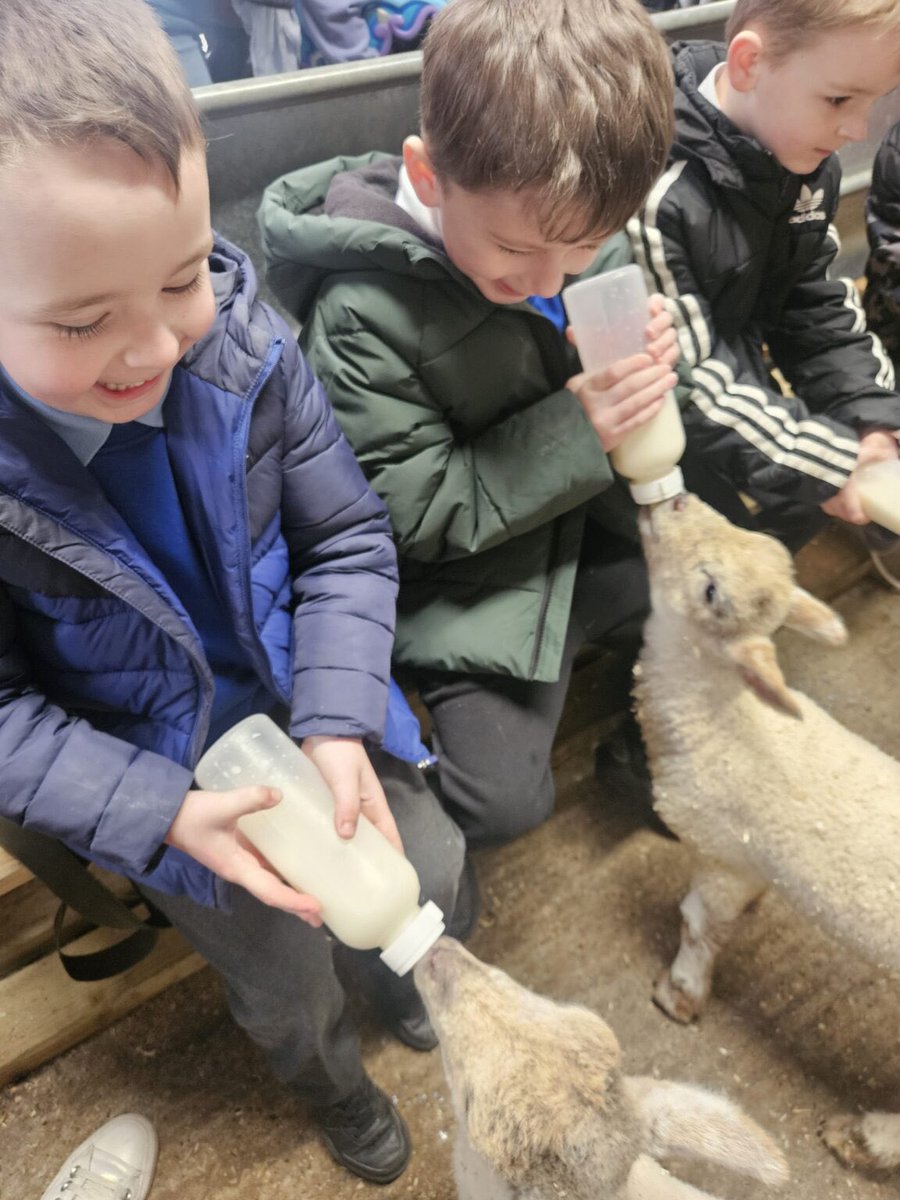 Rockingham J&I tweet media