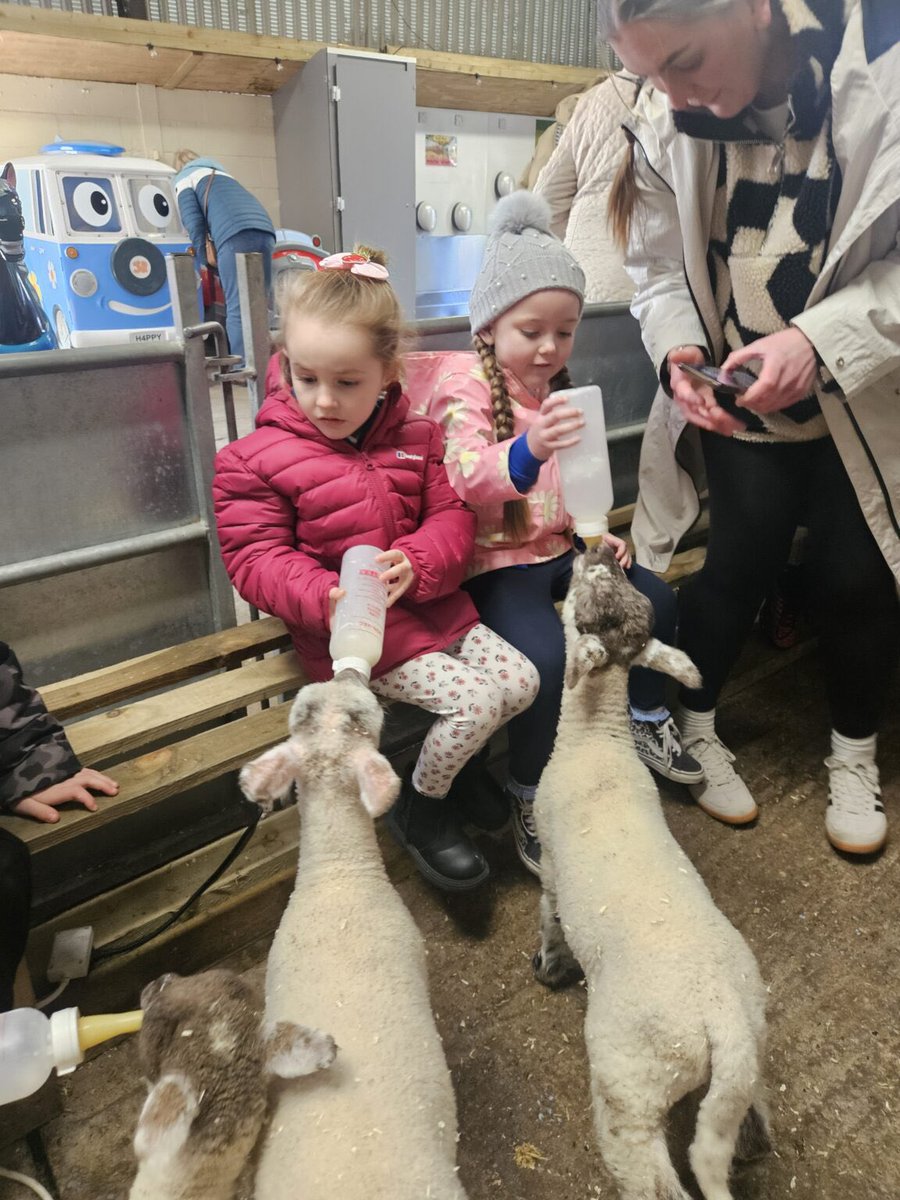 Rockingham J&I tweet media