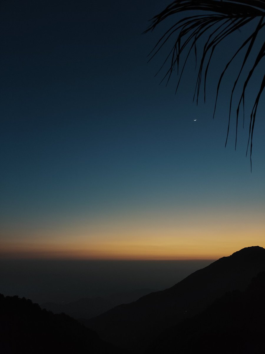 Siddharth tweet media