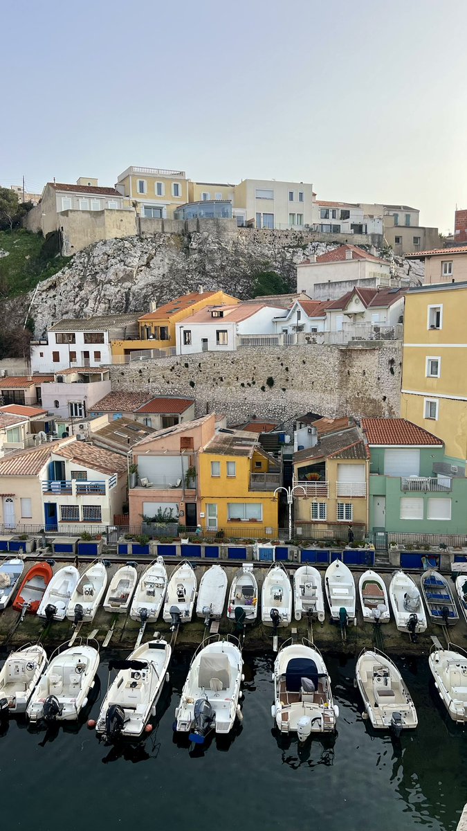 🇩🇿 tweet media