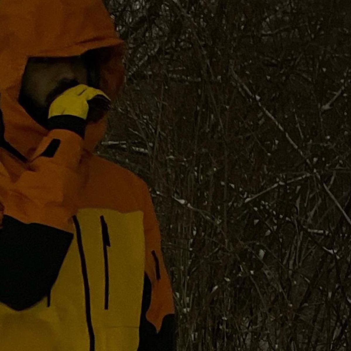 DrakeAligned tweet media