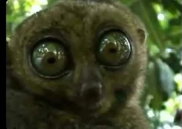 Denis Tusingwire tweet media