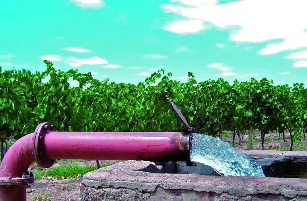 Mario Vadillo tweet media