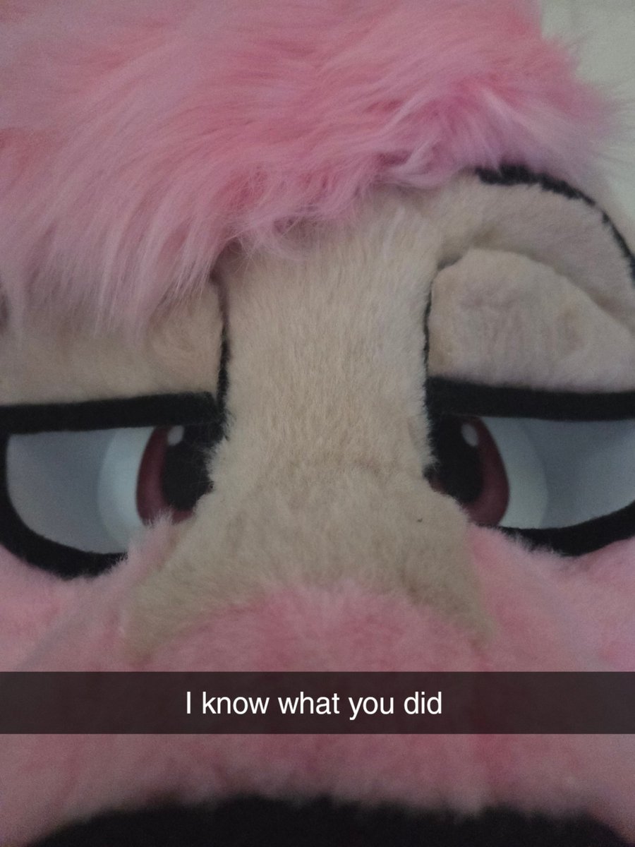 ↢🌸ItsPinkFloof🌸↣ tweet media