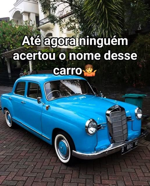 Nei Giglio🇧🇷🍀🇧🇷 tweet media