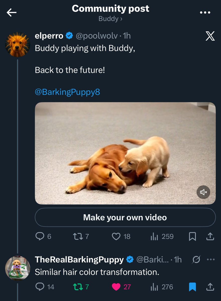 Lima IceBuddy tweet media