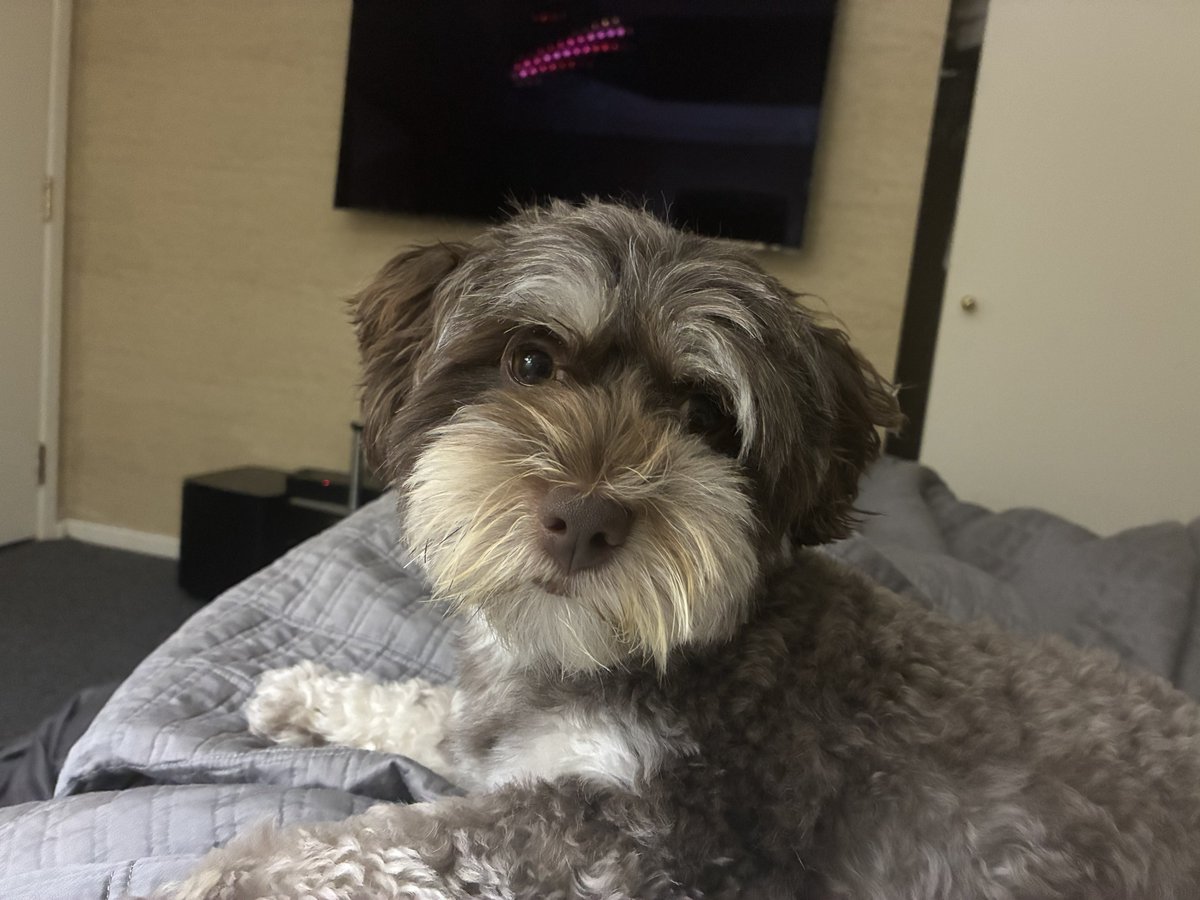 Frank Graves tweet media