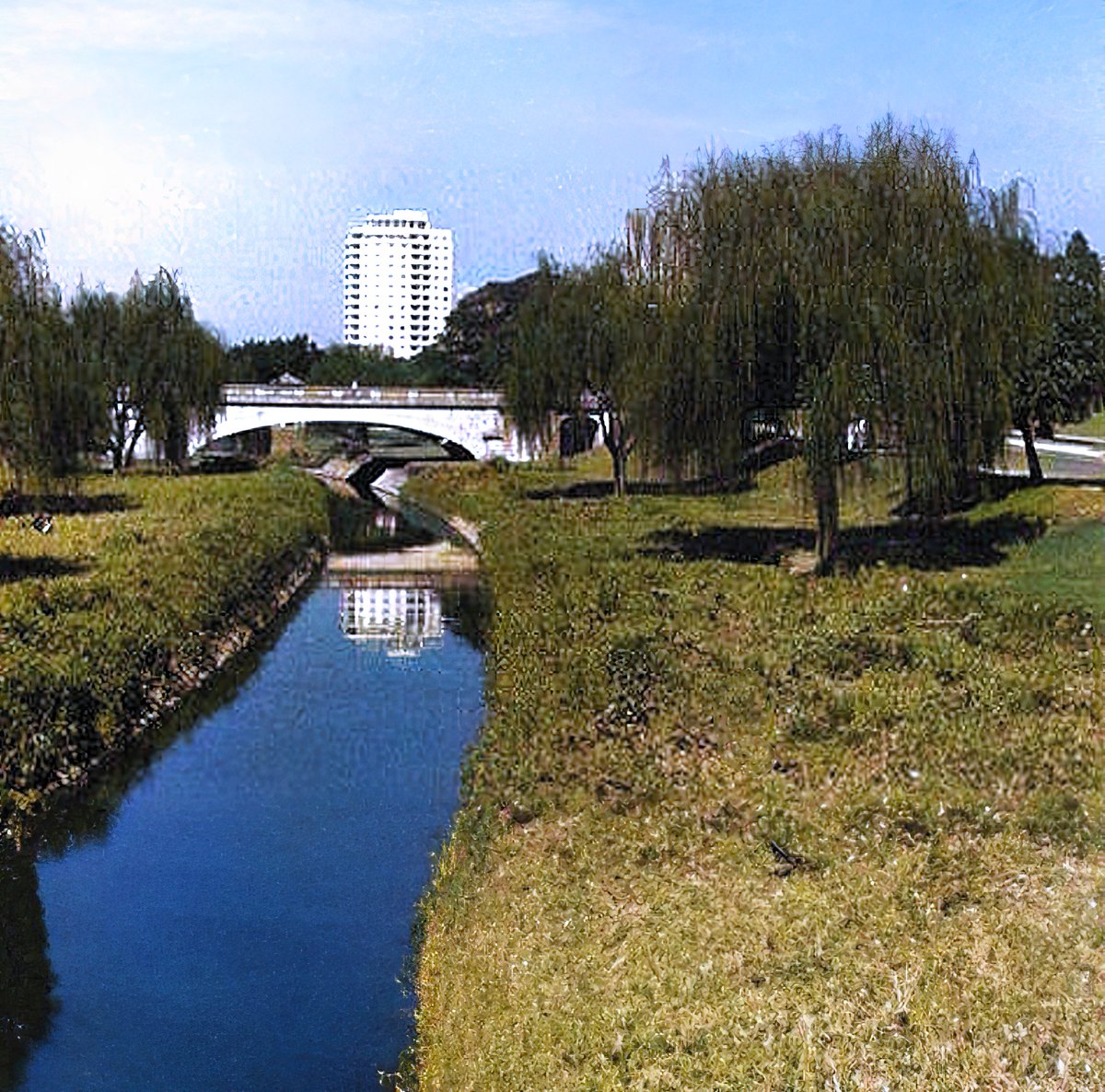 Geopizza Podcast tweet media