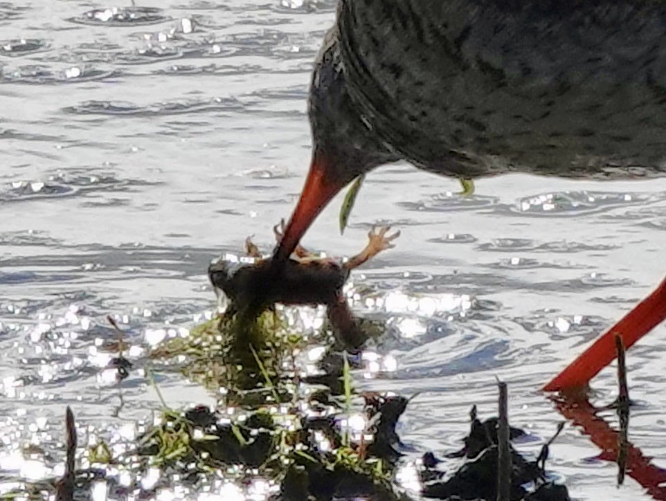 Sharon Wood (nee Loose) tweet media