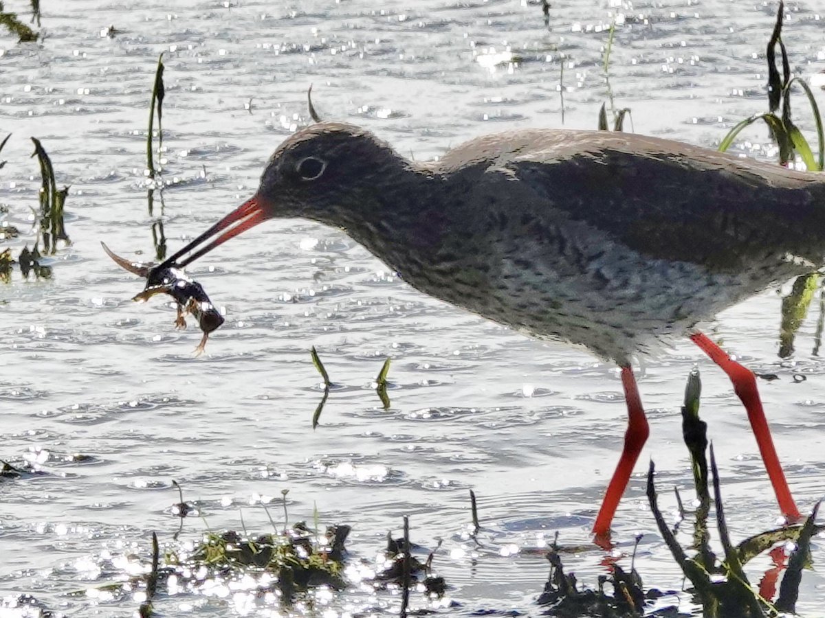 Sharon Wood (nee Loose) tweet media