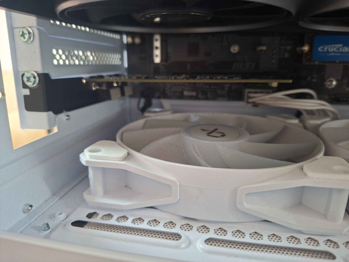 Renardo Wilde 🦊🧋🌟 tweet media