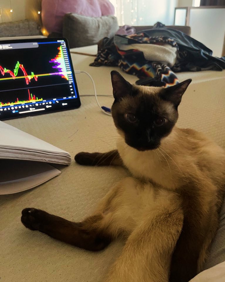 TheRealNomics 😼🚀 tweet media