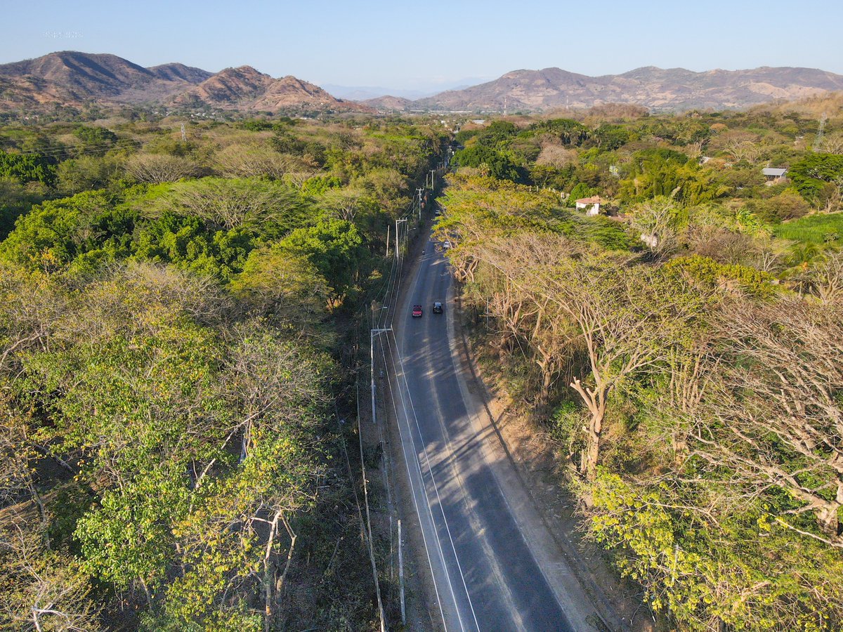 AESElSalvador's tweet photo. En coordinación con instituciones gubernamentales y municipales #AESCLESA, realizó la segunda jornada de poda sustentable en el departamento de Santa Ana,  aplicando técnicas que priorizan el cuidado del medio ambiente y el equilibrio natural de la vegetación en el entorno urbano.

📝Nota completa: https://t.co/BYzploh879