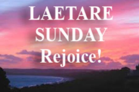 Jonathan Kester tweet media