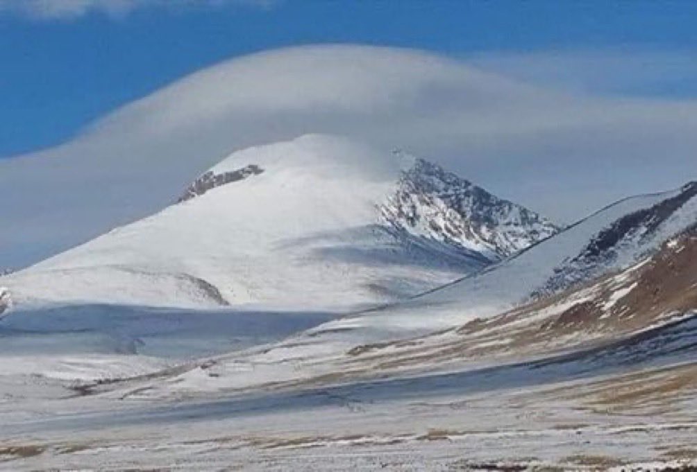 Моника tweet media