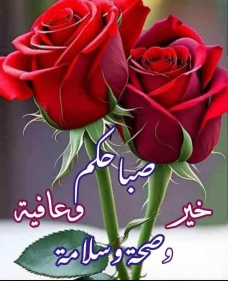 jlllskry1's tweet photo. @6nn2s https://t.co/CP1gnZ9qVg