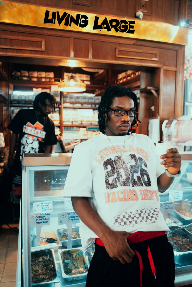 LIVINGLARGE INC tweet media