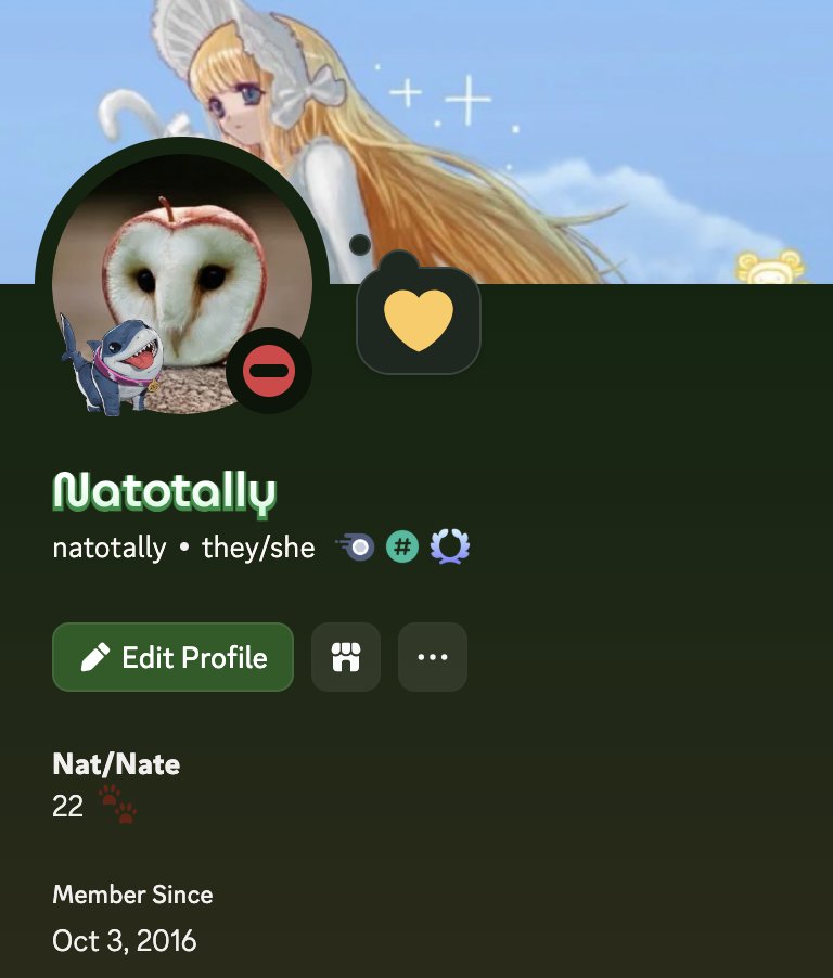 nat 🫧 tweet media