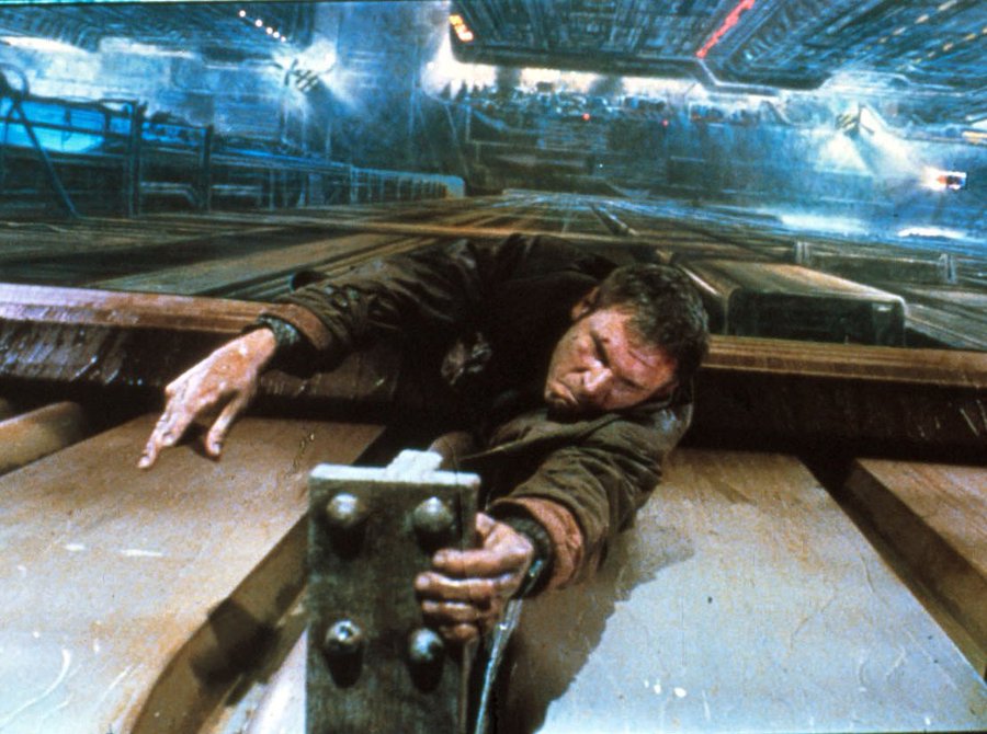 All The Right Movies tweet media