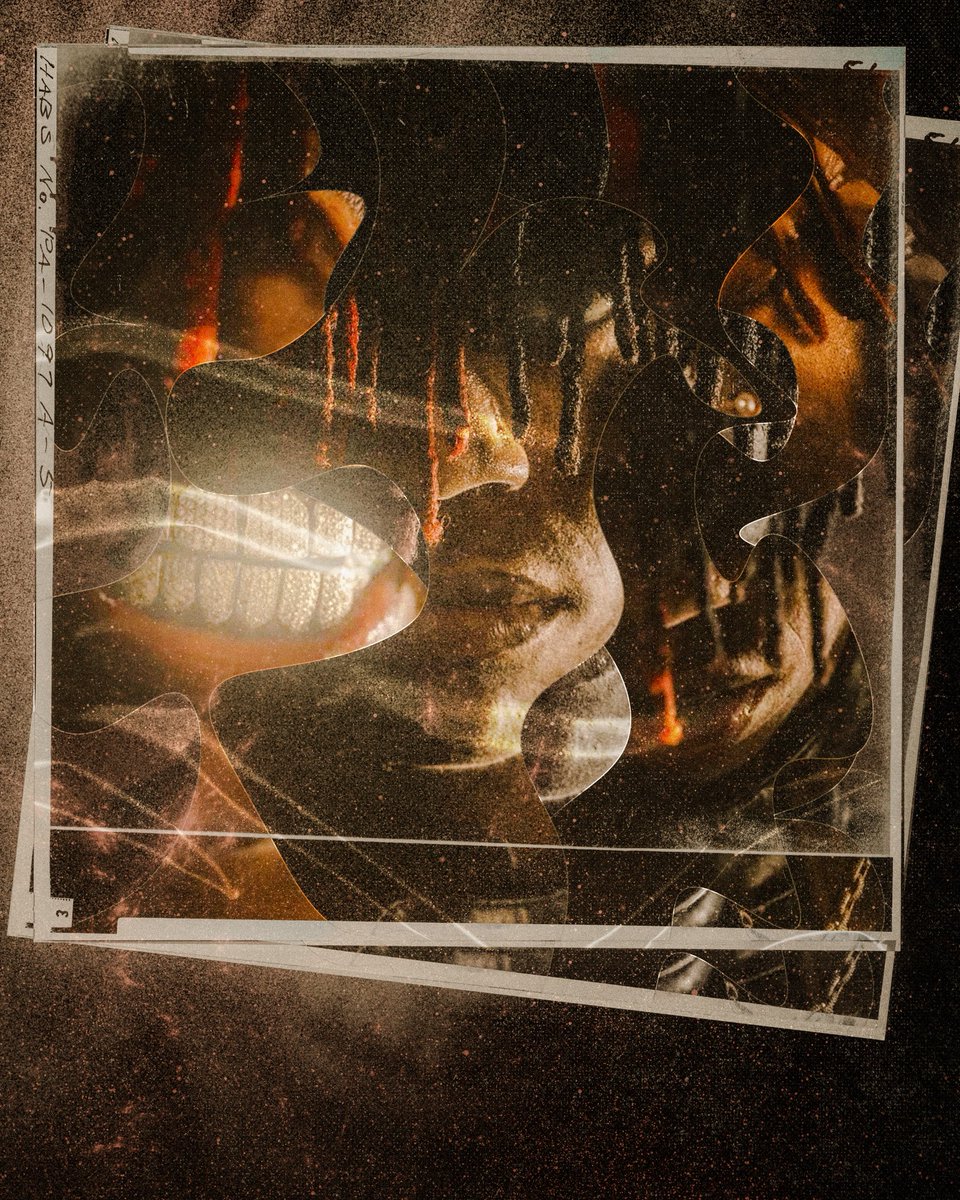 leon in sauer tweet media