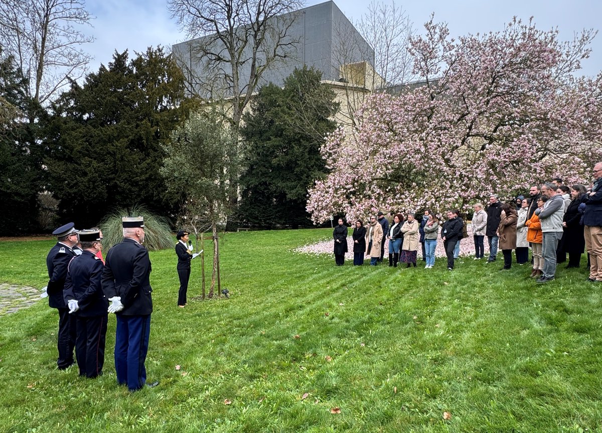 Préfète de la Mayenne tweet media