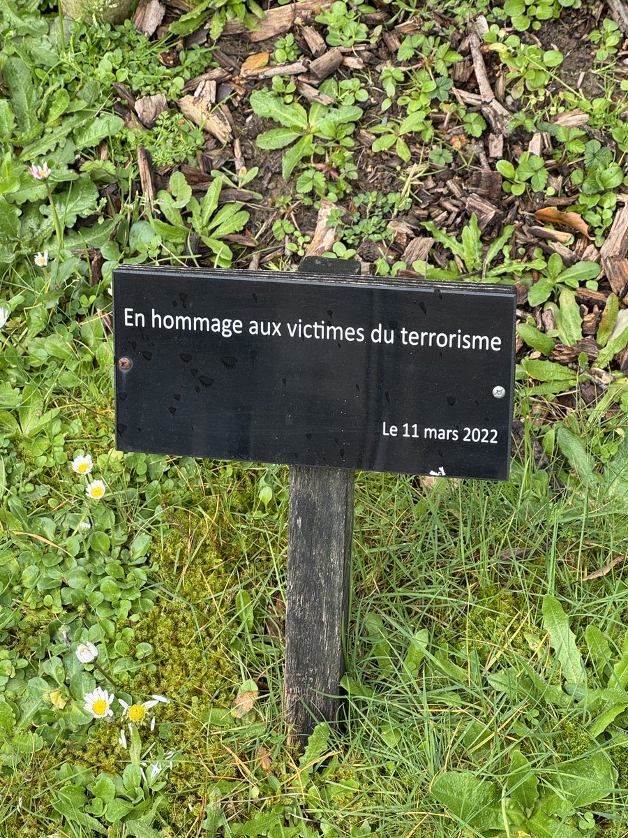 Préfète de la Mayenne tweet media