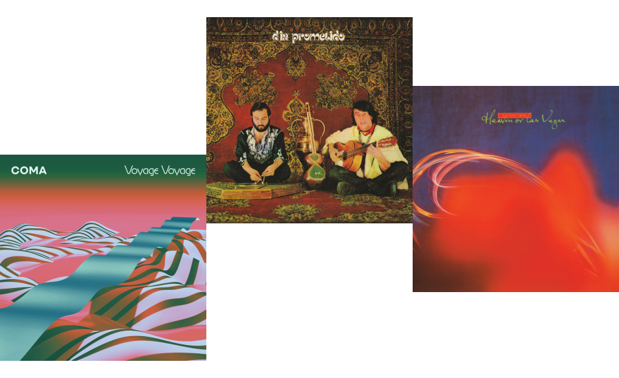 David Porter tweet media