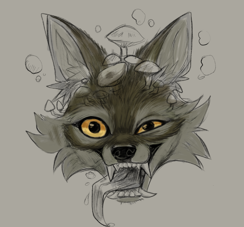 Chaki ❌ tweet media