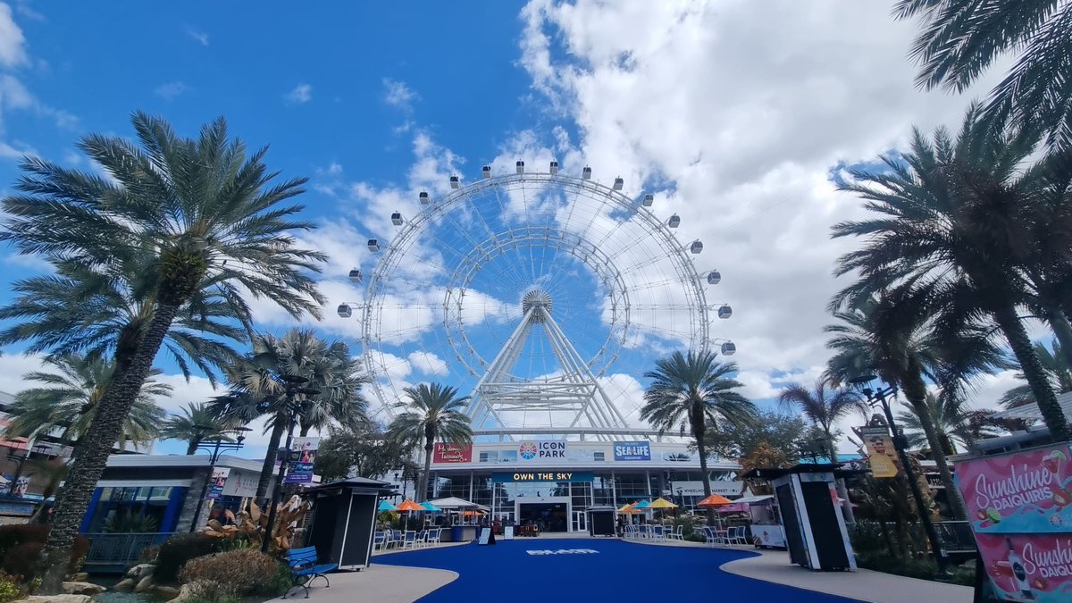 ted_koala's tweet photo. Ted clearly enjoying his @VisitOrlando 👏👍

Part one of Ted's visit to famed International Drive 

✅ @ted_koala https://t.co/HU9ZVv1vTh