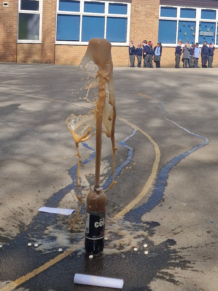 St Gregory's Primary tweet media