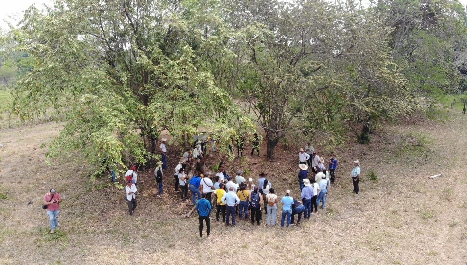 José Félix Lafaurie tweet media