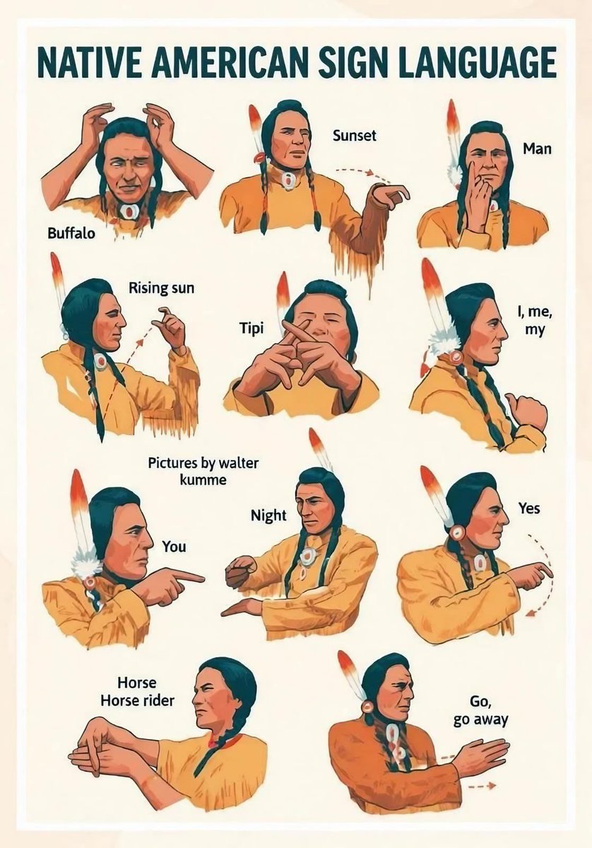 Native American Pride tweet media